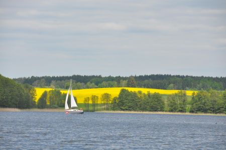 Zdjęcie 3 z galerii